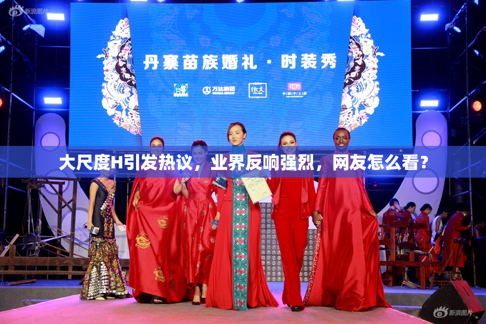 大尺度H引发热议，业界反响强烈，网友怎么看？