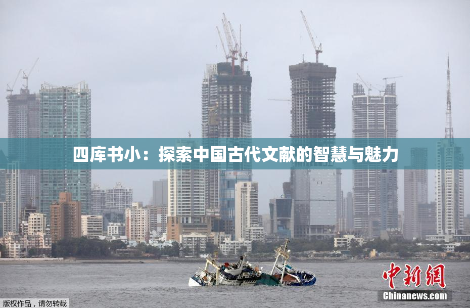 四库书小：探索中国古代文献的智慧与魅力