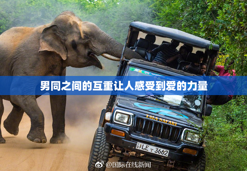男同之间的互重让人感受到爱的力量