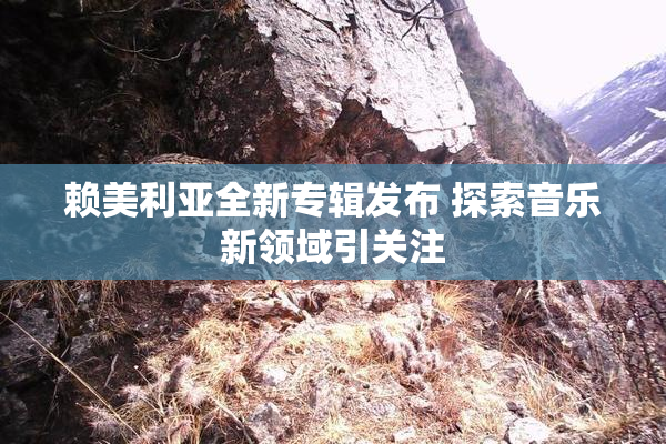 赖美利亚全新专辑发布 探索音乐新领域引关注