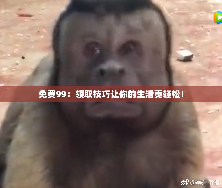免费99：领取技巧让你的生活更轻松！