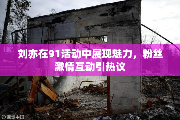 刘亦在91活动中展现魅力，粉丝激情互动引热议