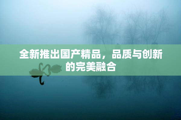 全新推出国产精品，品质与创新的完美融合