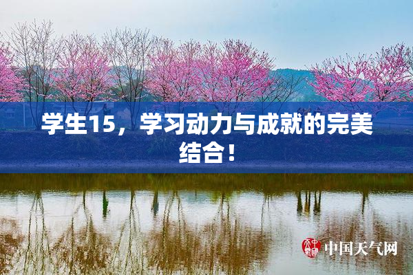 学生15，学习动力与成就的完美结合！