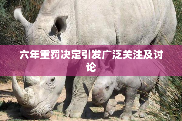 六年重罚决定引发广泛关注及讨论