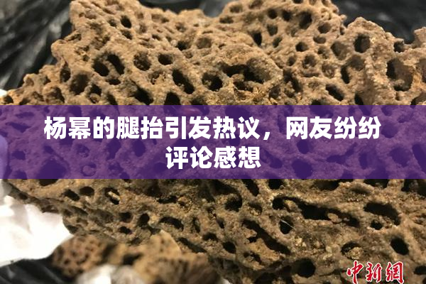杨幂的腿抬引发热议，网友纷纷评论感想