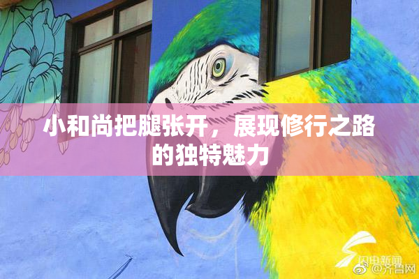 小和尚把腿张开，展现修行之路的独特魅力
