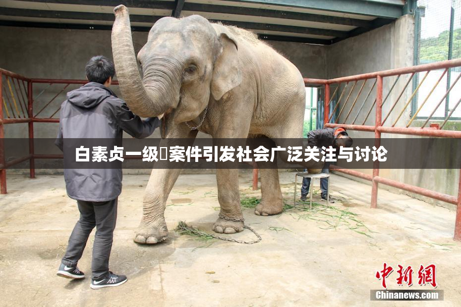 白素贞一级婬案件引发社会广泛关注与讨论