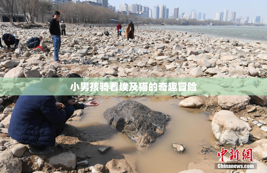 小男孩骑着埃及猫的奇趣冒险