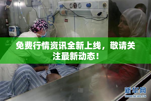 免费行情资讯全新上线，敬请关注最新动态！
