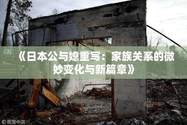 《日本公与媳重写：家族关系的微妙变化与新篇章》