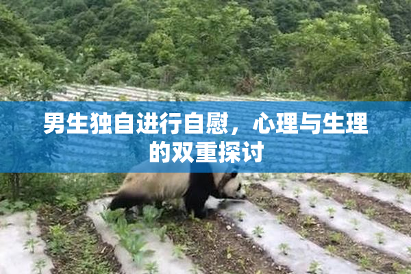 男生独自进行自慰，心理与生理的双重探讨