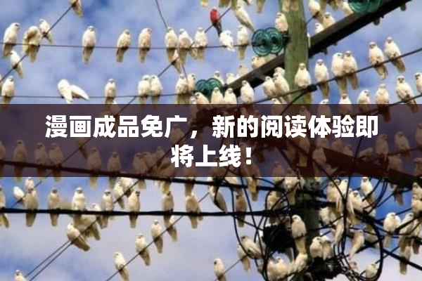 漫画成品免广，新的阅读体验即将上线！