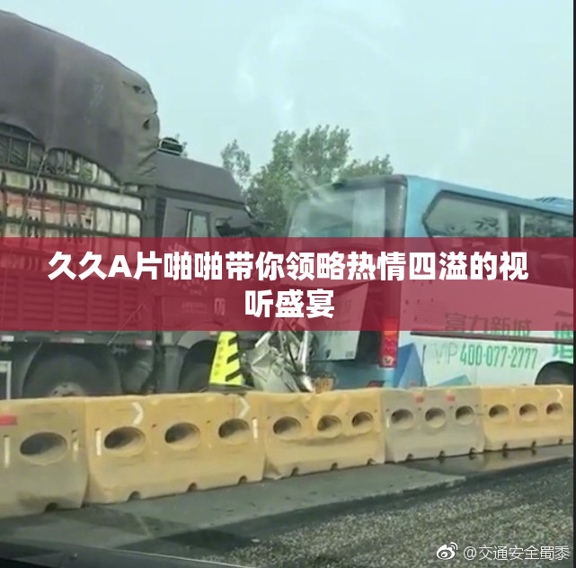 久久A片啪啪带你领略热情四溢的视听盛宴