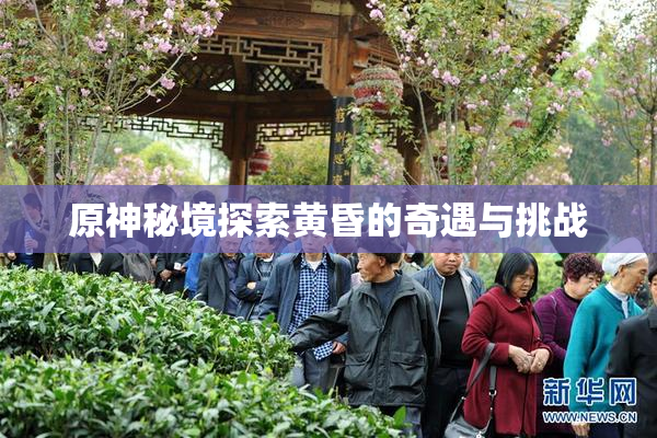 原神秘境探索黄昏的奇遇与挑战