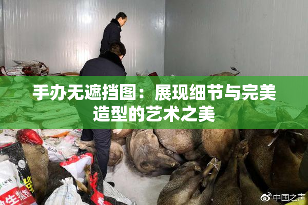 手办无遮挡图：展现细节与完美造型的艺术之美