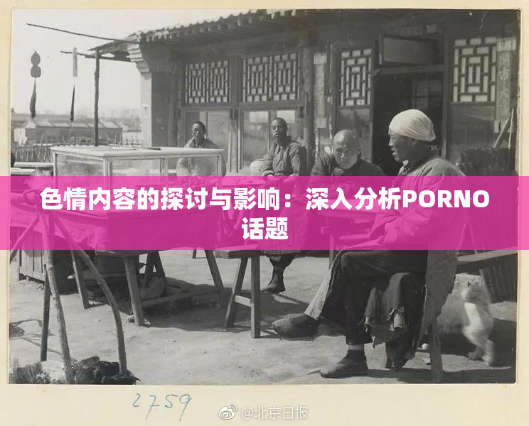 色情内容的探讨与影响：深入分析PORNO话题