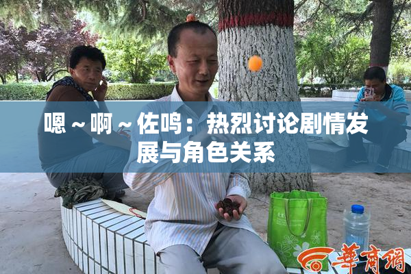 嗯～啊～佐鸣：热烈讨论剧情发展与角色关系