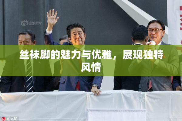 丝袜脚的魅力与优雅，展现独特风情
