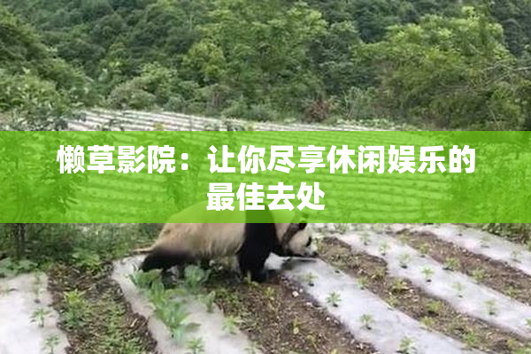 懒草影院：让你尽享休闲娱乐的最佳去处