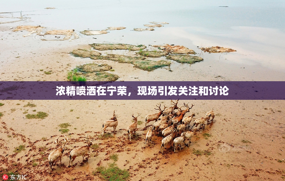 浓精喷洒在宁荣，现场引发关注和讨论
