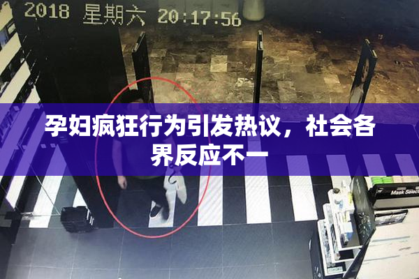 孕妇疯狂行为引发热议，社会各界反应不一