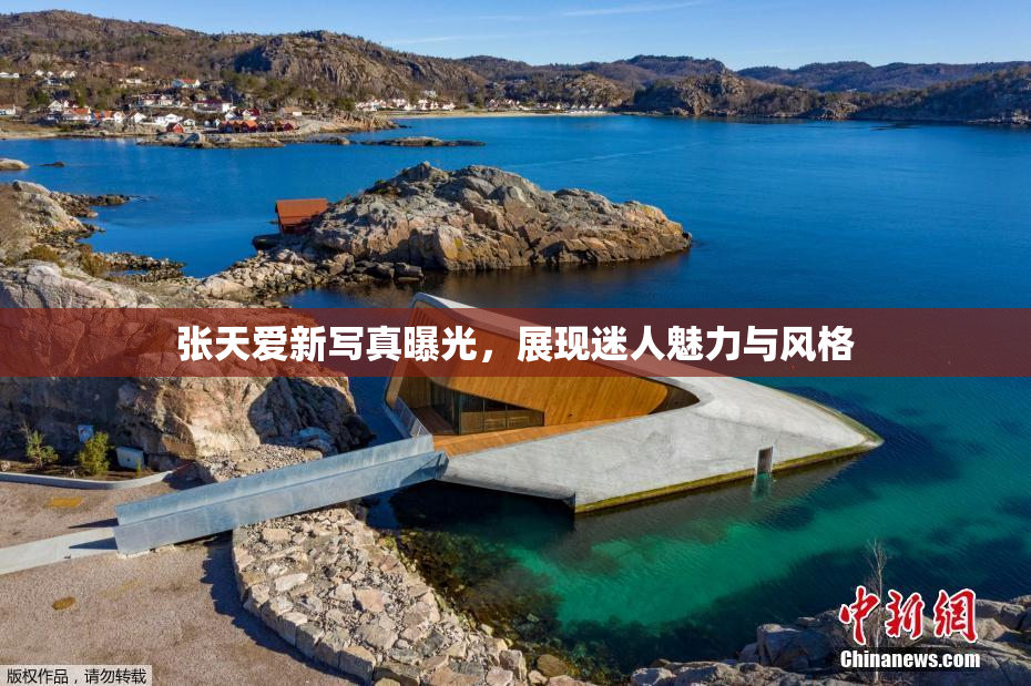 张天爱新写真曝光，展现迷人魅力与风格