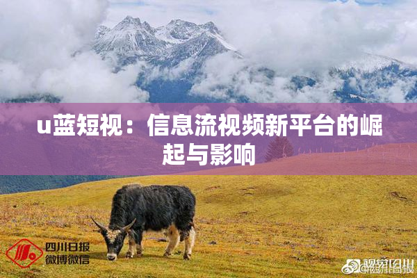 u蓝短视：信息流视频新平台的崛起与影响