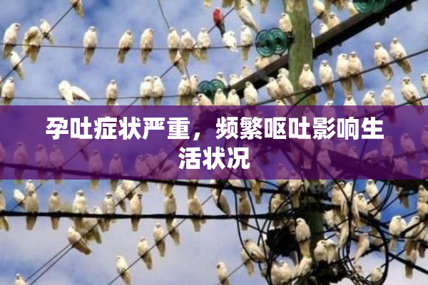 孕吐症状严重，频繁呕吐影响生活状况