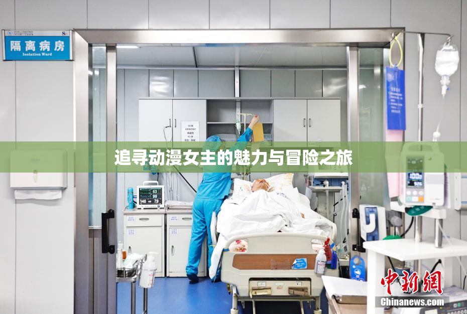 追寻动漫女主的魅力与冒险之旅