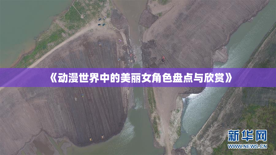 《动漫世界中的美丽女角色盘点与欣赏》