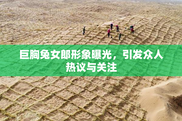巨胸兔女郎形象曝光，引发众人热议与关注
