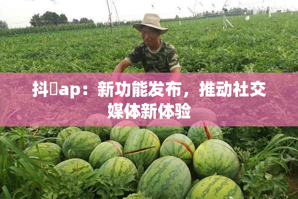 抖抈ap：新功能发布，推动社交媒体新体验