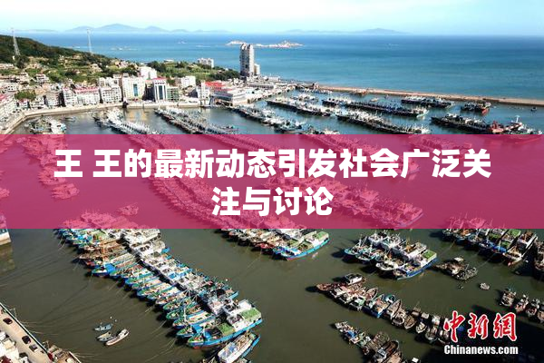 王 王的最新动态引发社会广泛关注与讨论