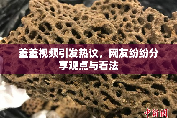 羞羞视频引发热议，网友纷纷分享观点与看法