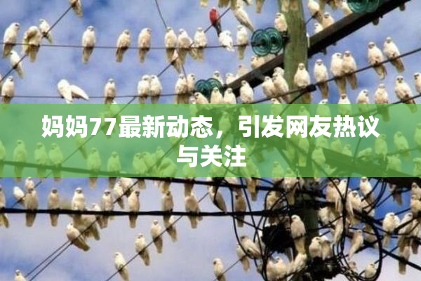 妈妈77最新动态，引发网友热议与关注