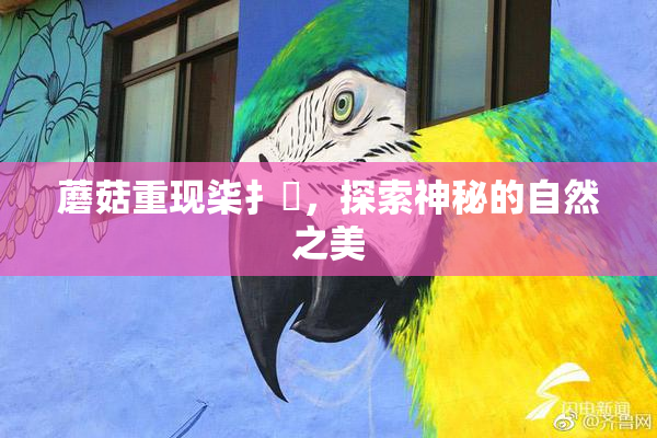 蘑菇重现柒扌畐，探索神秘的自然之美
