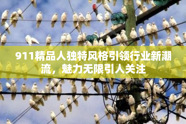 911精品人独特风格引领行业新潮流，魅力无限引人关注