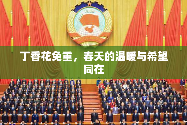 丁香花免重，春天的温暖与希望同在