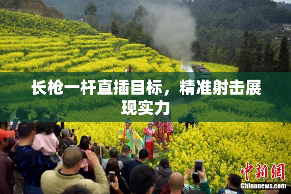 长枪一杆直插目标，精准射击展现实力