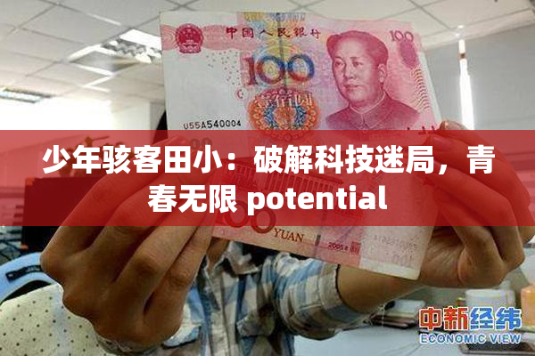 少年骇客田小：破解科技迷局，青春无限 potential