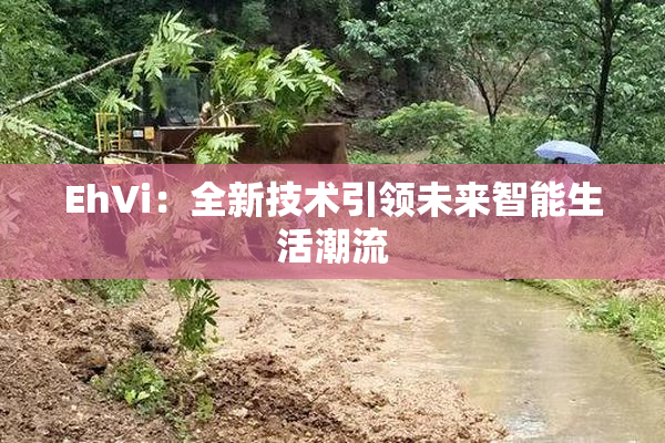 EhVi：全新技术引领未来智能生活潮流