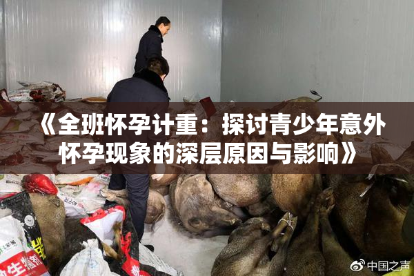 《全班怀孕计重：探讨青少年意外怀孕现象的深层原因与影响》