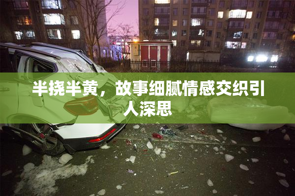 半挠半黄，故事细腻情感交织引人深思