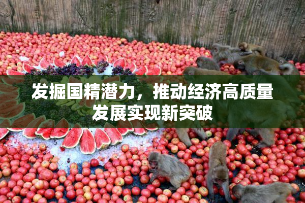 发掘国精潜力，推动经济高质量发展实现新突破