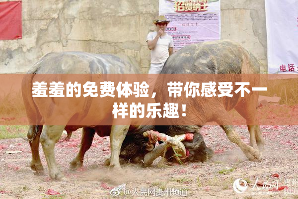 羞羞的免费体验，带你感受不一样的乐趣！