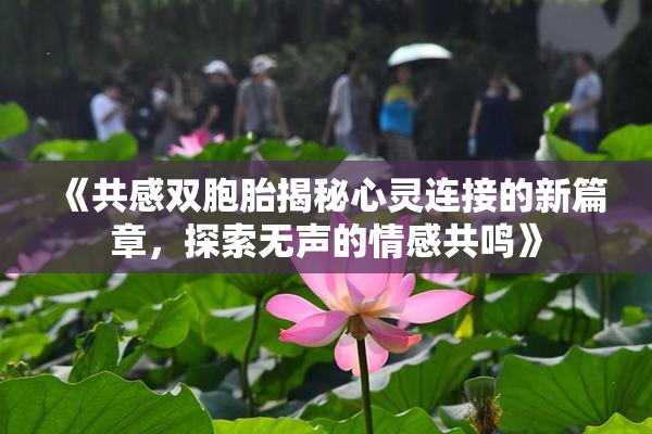 《共感双胞胎揭秘心灵连接的新篇章，探索无声的情感共鸣》