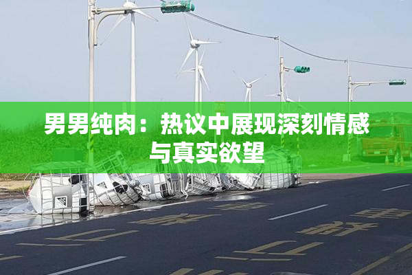 男男纯肉：热议中展现深刻情感与真实欲望