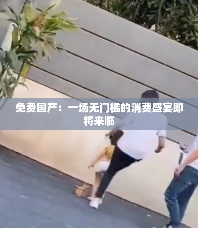 免费国产：一场无门槛的消费盛宴即将来临