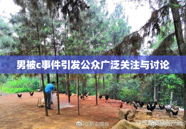 男被c事件引发公众广泛关注与讨论